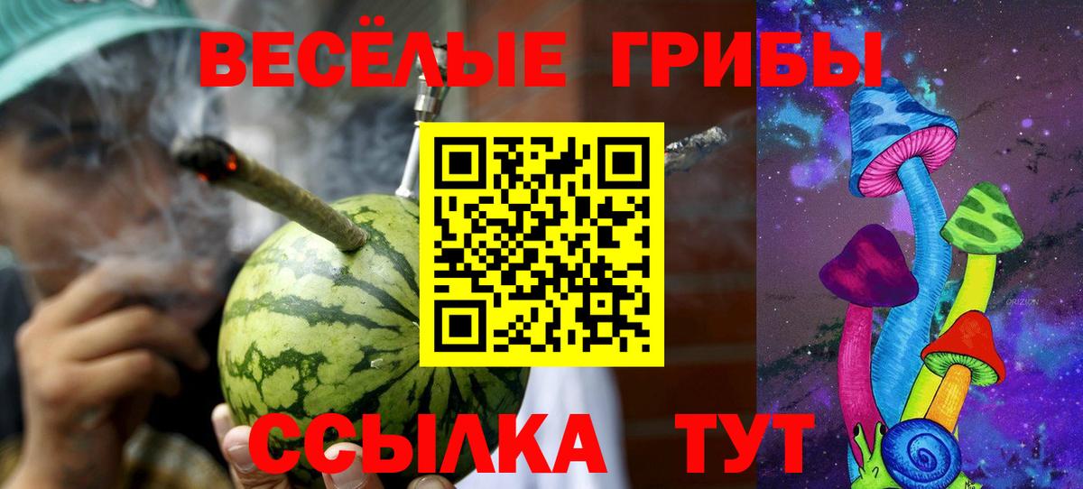 Псилоцибиновые грибы Psilocybe  Вход с VPN  где купить   Омск 